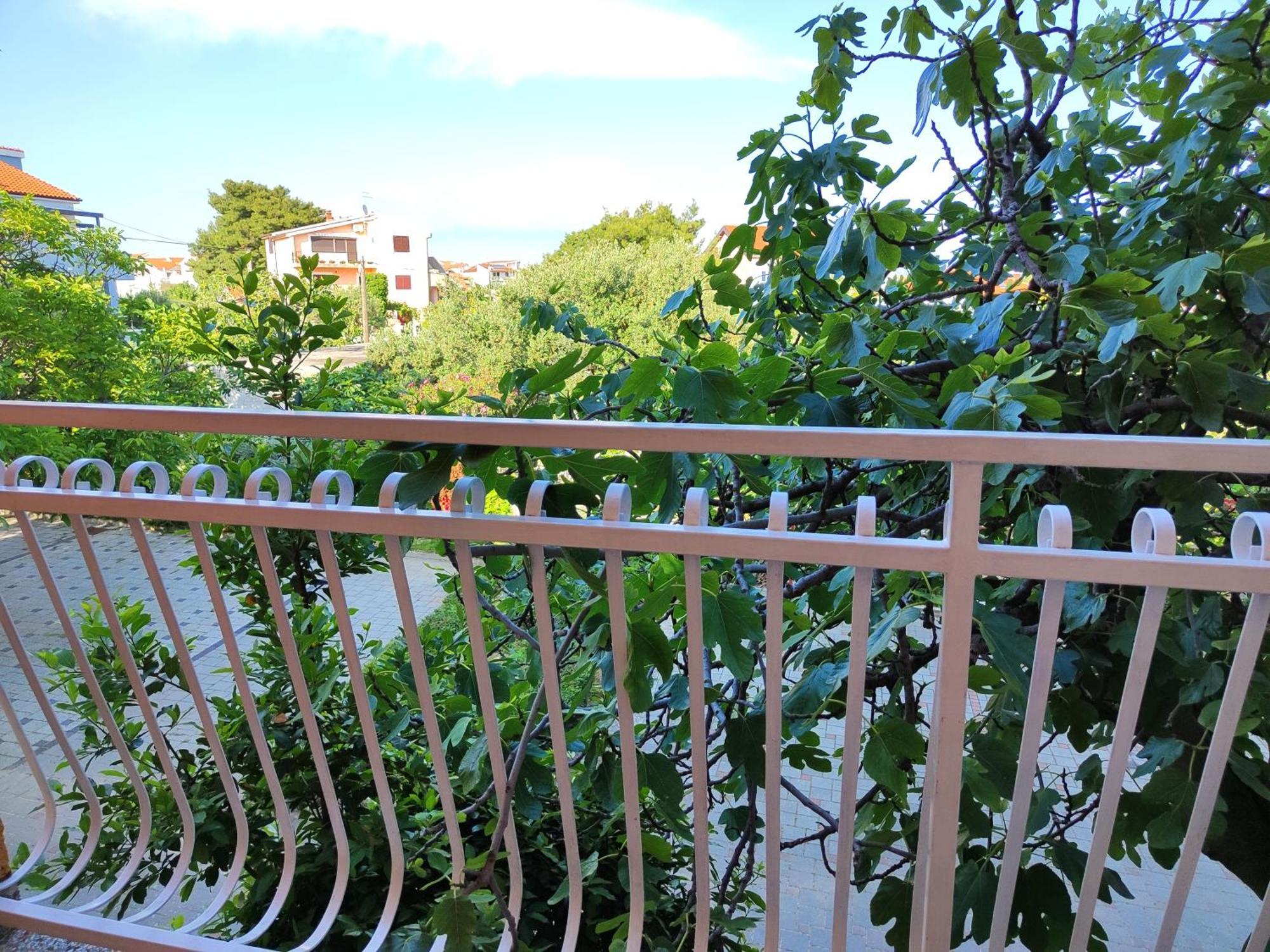 Apartmani Seka Vodice Exterior foto