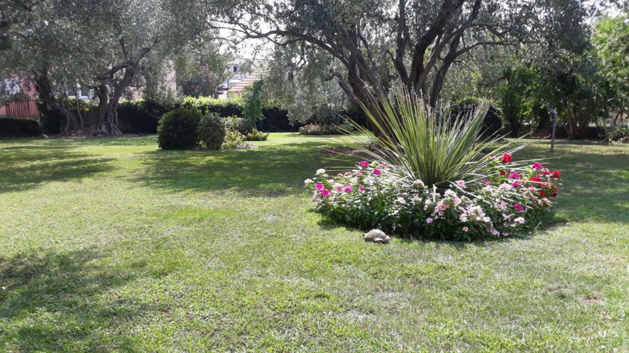 Apartmani Seka Vodice Exterior foto